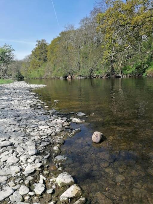 Cottage By The River In Cenarth With Fishing And Wifi Buitenkant foto